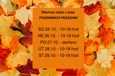 web pozvánka 44